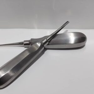 باين فصل جذور